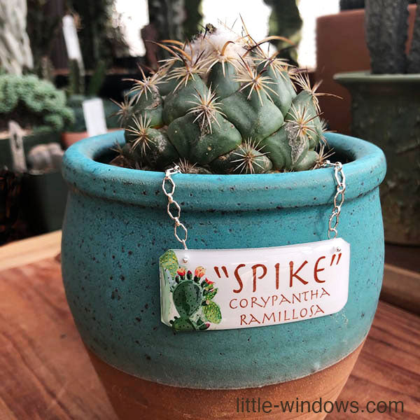 Resin Name Tags for our Planty Friends