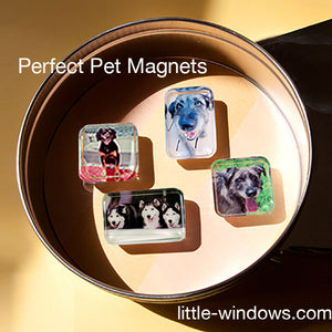 resin pet keepsakes with photos for magnets and jewelry